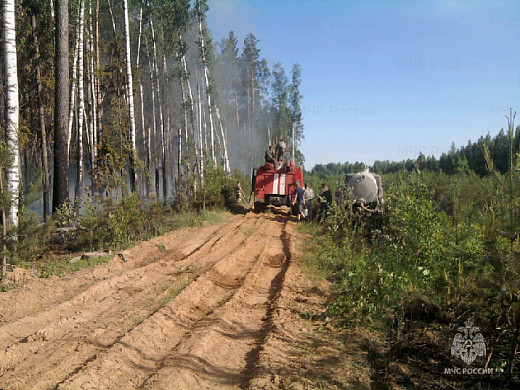 В Ивановской области сгорело более гектара леса